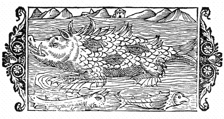 http://www.toroia.info/images/marinesow.png